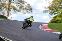 Lower Group Black Bikes